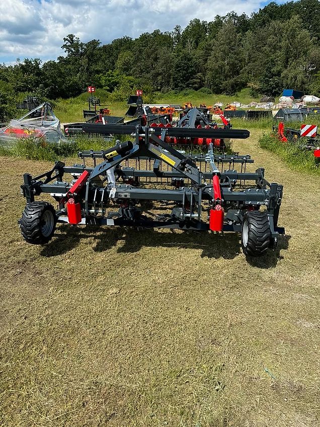 Saphir Grindstar 300 mit Nachstriegel