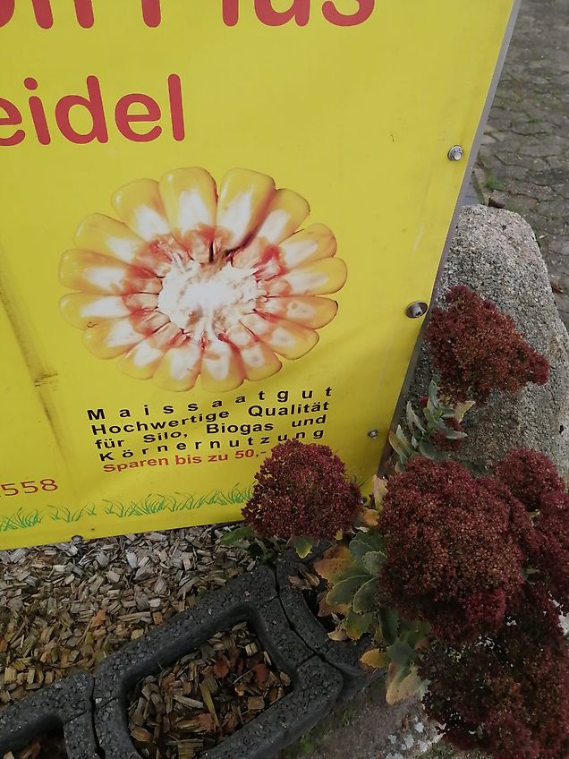 Howard Howard HR40 Bodenfräse 265cm Arbeitsbreite Keine Celli Krone Maschio Fräse Messersatz 80%