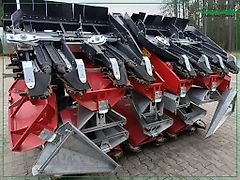 Dominoni SL978BGTRP-75