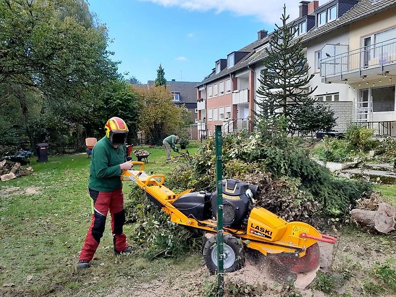 Laski Stubbenfräse Stockfräse Wurzelstockfräse Fräse Wurzelfräse