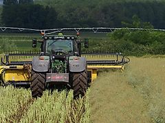 Honey Bee ST 25 - BANDSCHWADMÄHWERK