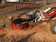 Laski Stubbenfräse Stockfräse Baumstumpffräse Wurzelstockfräse