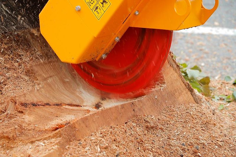 Laski Stubbenfräse Stockfräse Baumstumpffräse Wurzelstockfräse